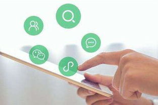 流量風(fēng)口下的品牌困局 技術(shù)推廣的機遇與陷阱